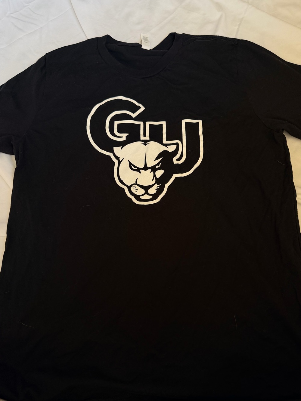 Greenville University Logo Men’s T-Shirt